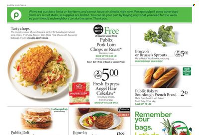 Publix (AL, FL, GA, NC, SC, TN) Weekly Ad Flyer March 24 to March 31
