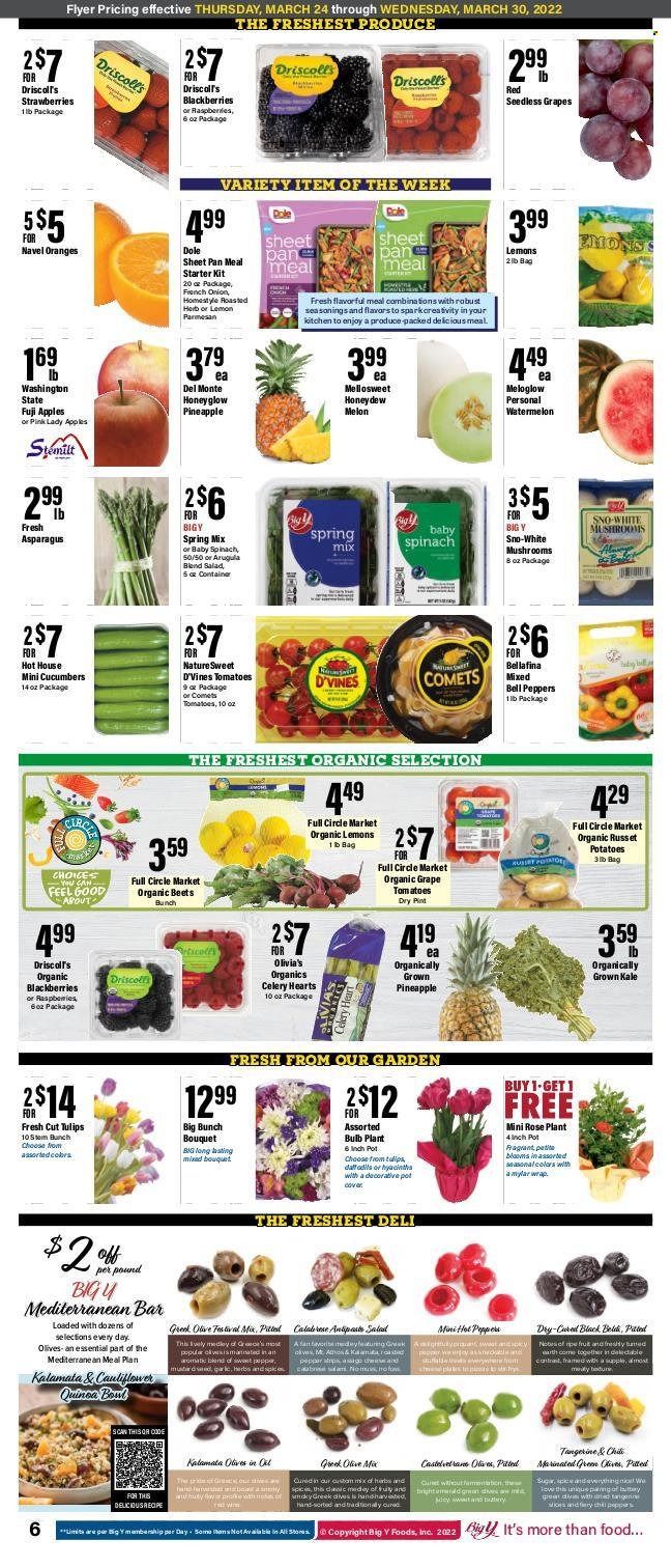 Big Y (CT) Weekly Ad Flyer March 24 to March 31