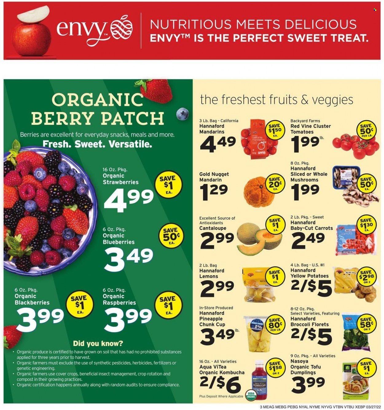 Hannaford (ME) Weekly Ad Flyer March 25 to April 1