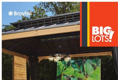 Big Lots Weekly Ad Flyer March 25 to April 1