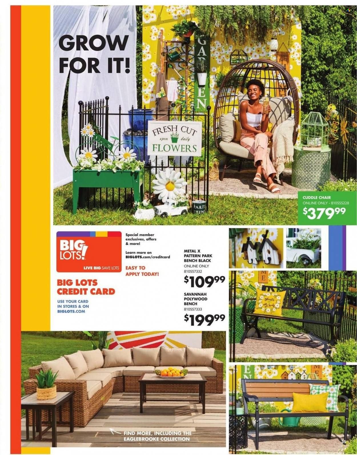Big Lots Weekly Ad Flyer March 25 to April 1