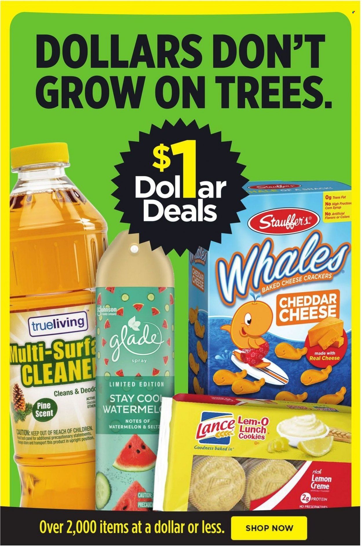 Dollar General Weekly Ad Flyer March 28 to April 4