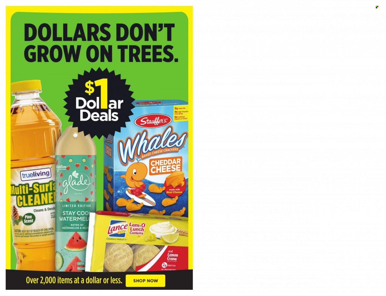 Dollar General (MS) Weekly Ad Flyer March 28 to April 4