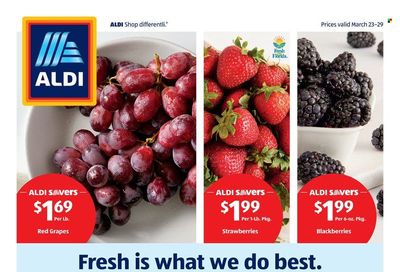 ALDI (FL) Weekly Ad Flyer March 29 to April 5