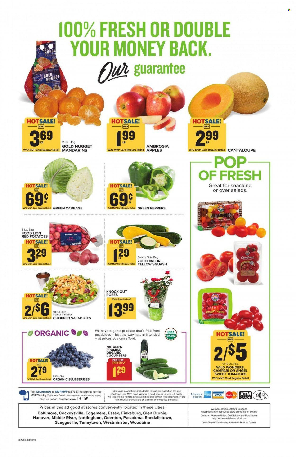Food Lion (MD) Weekly Ad Flyer March 30 to April 6