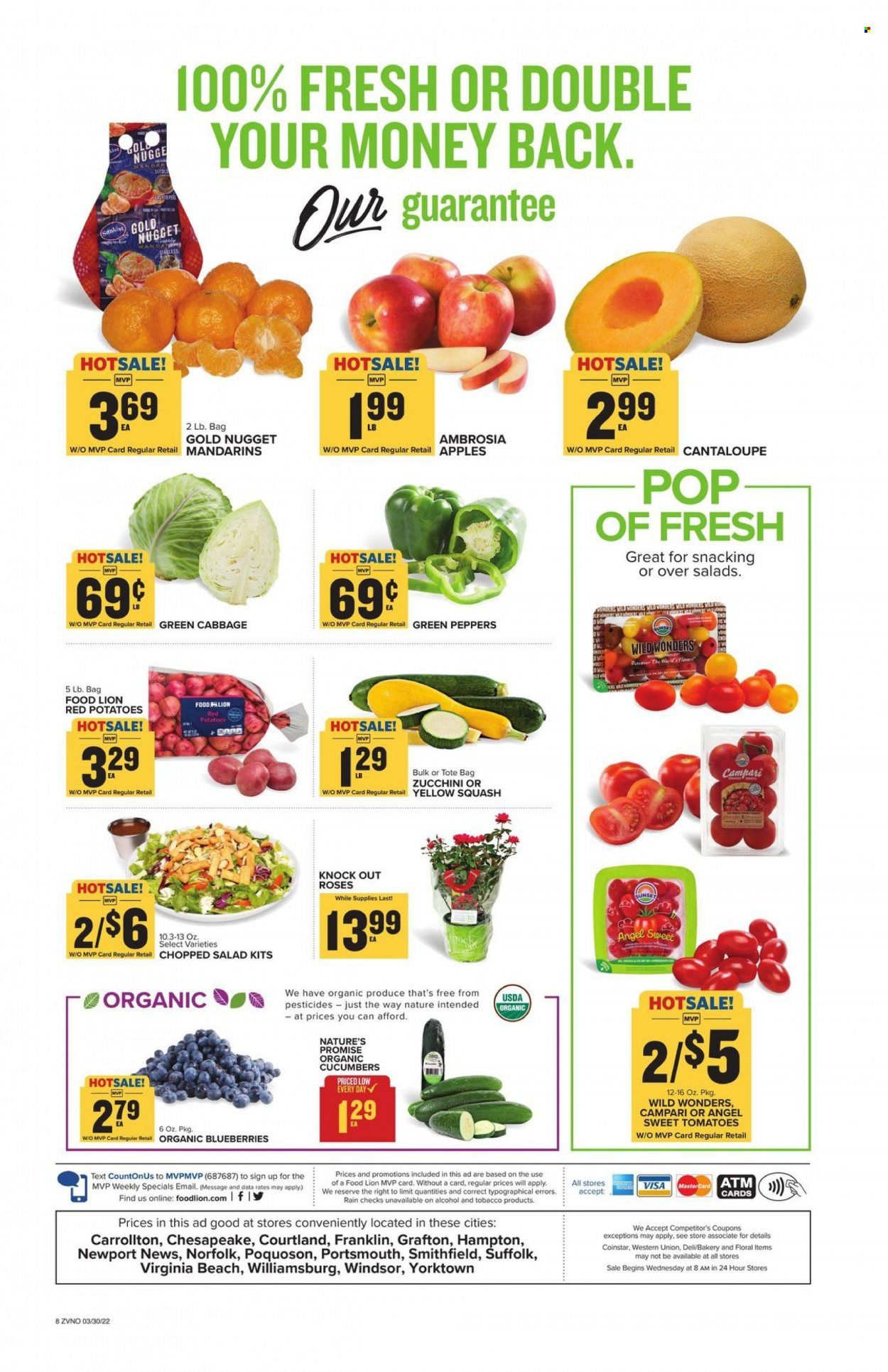 Food Lion (VA) Weekly Ad Flyer March 30 to April 6