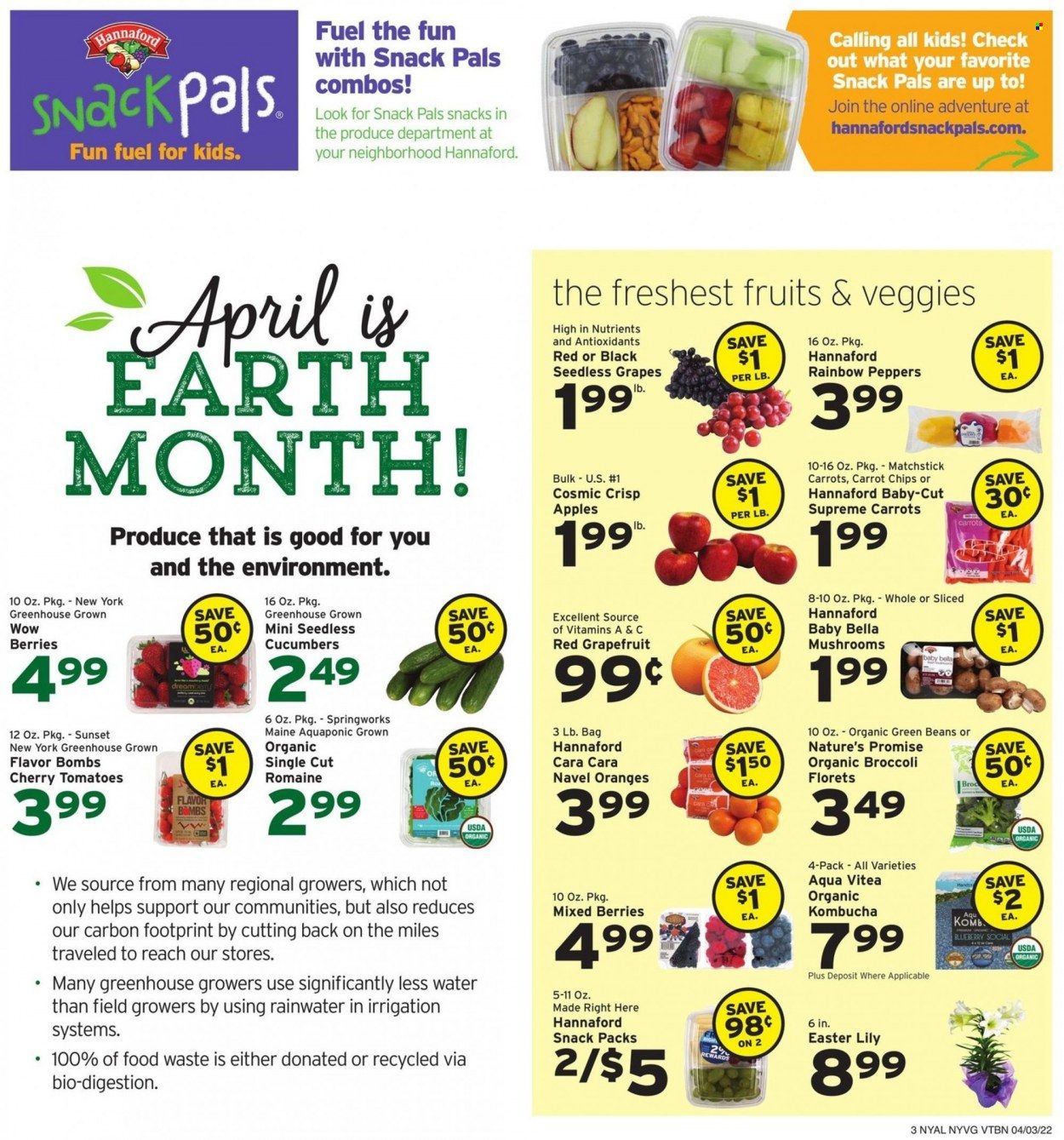 Hannaford (NY) Weekly Ad Flyer April 3 to April 10