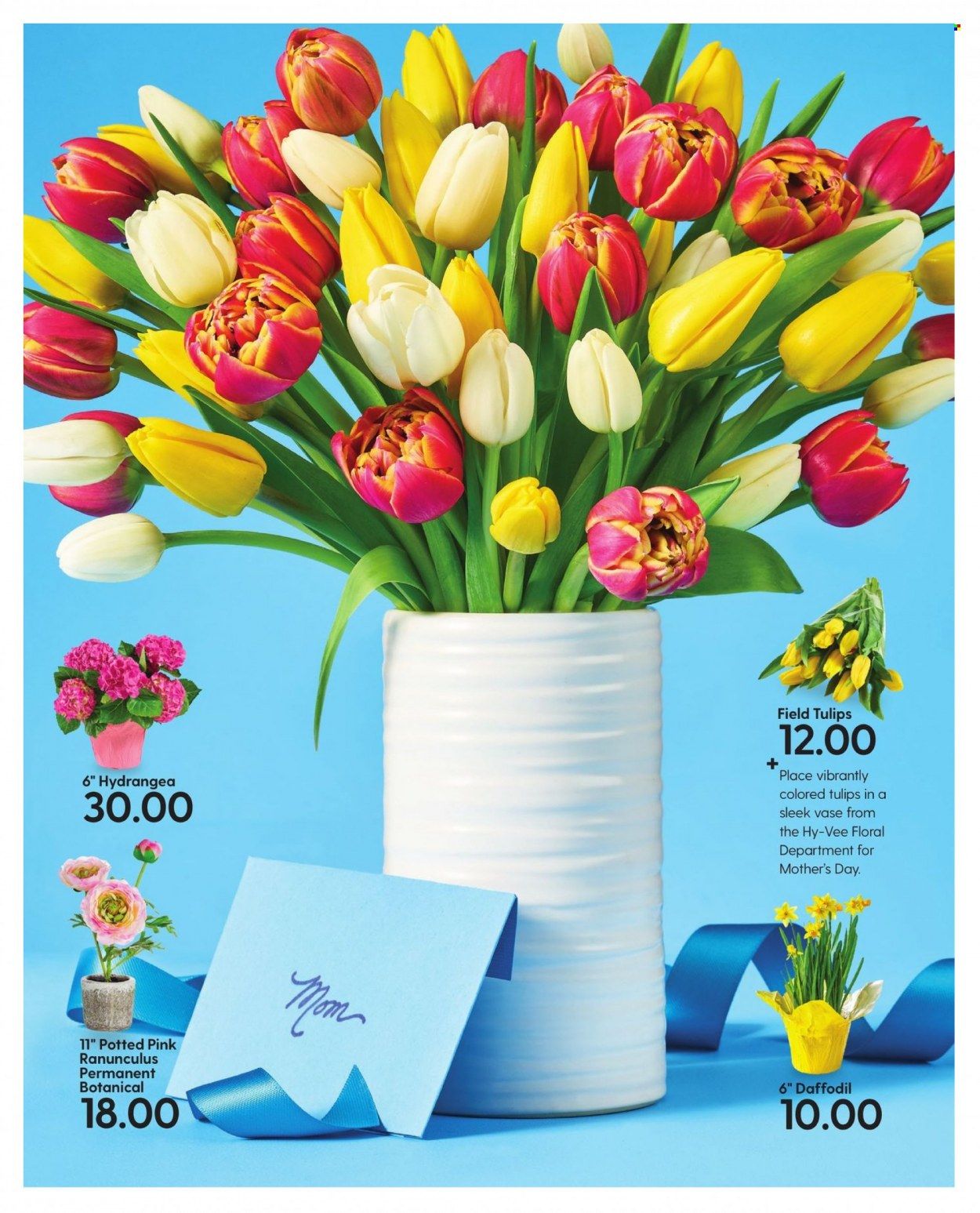 Hy-Vee (IA, IL, MN, MO, SD) Weekly Ad Flyer April 5 to April 12