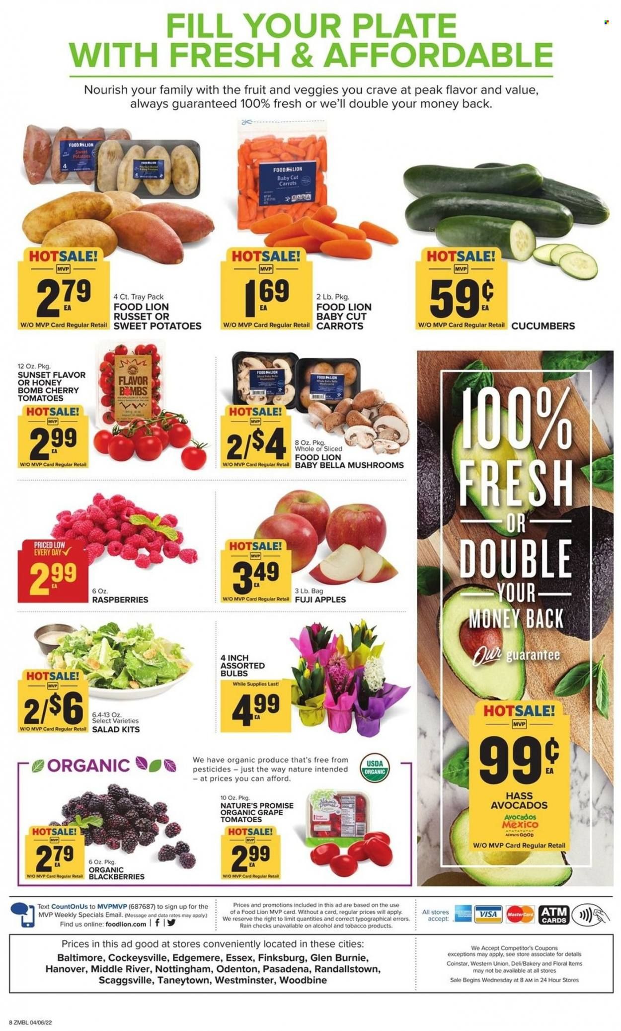 Food Lion (MD) Weekly Ad Flyer April 6 to April 13