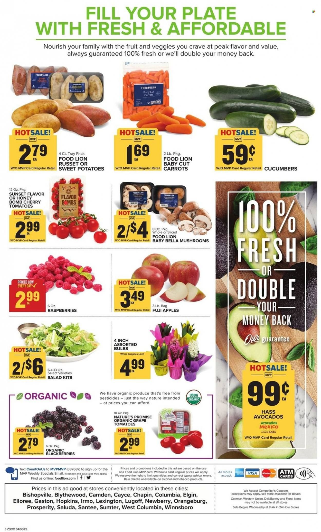Food Lion (SC) Weekly Ad Flyer April 6 to April 13