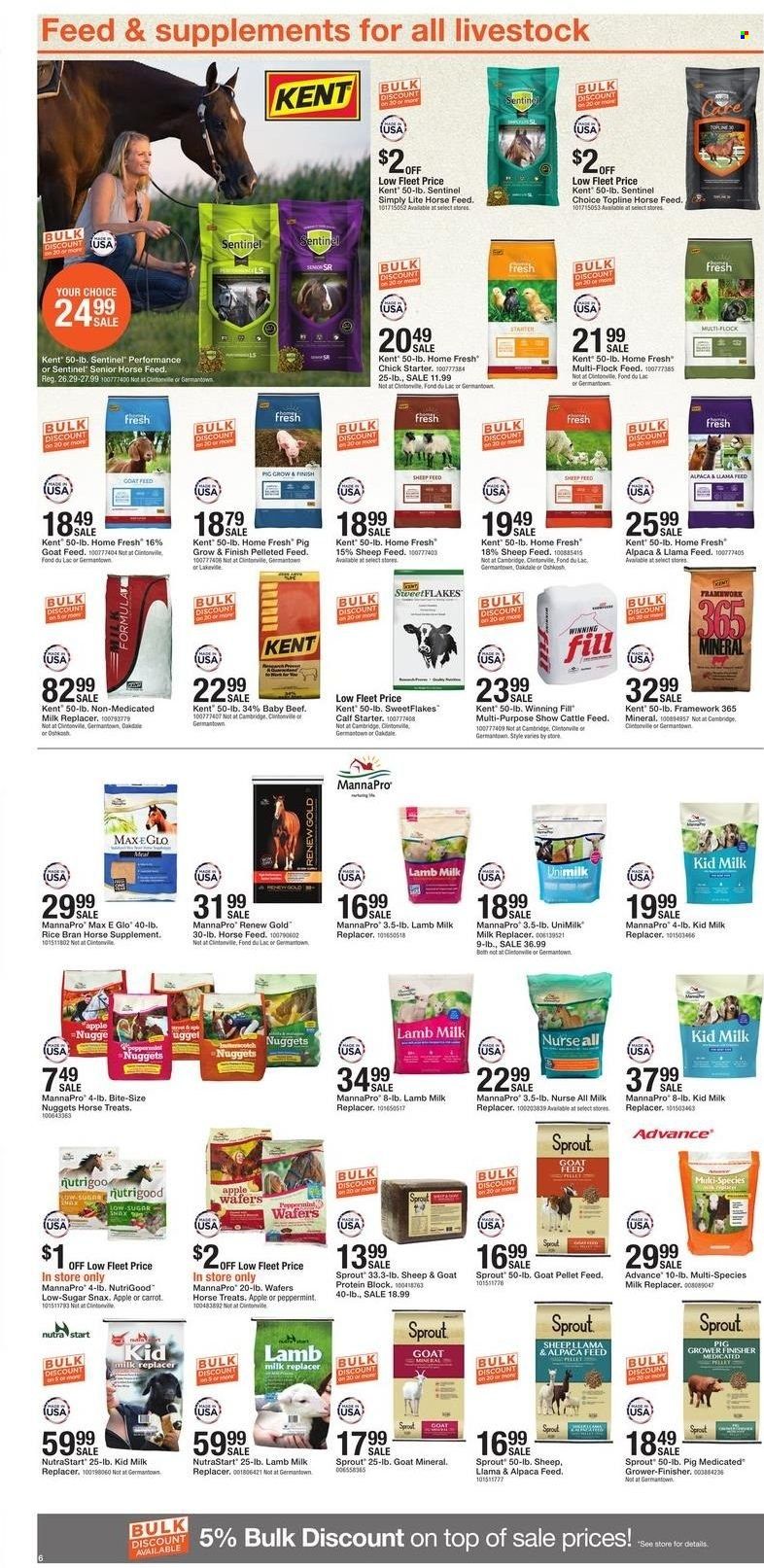 Fleet Farm (IA, MN, ND, WI) Weekly Ad Flyer April 10 to April 17
