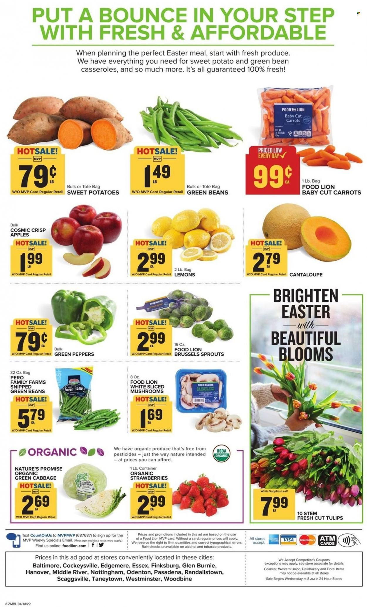 Food Lion (MD) Weekly Ad Flyer April 13 to April 20
