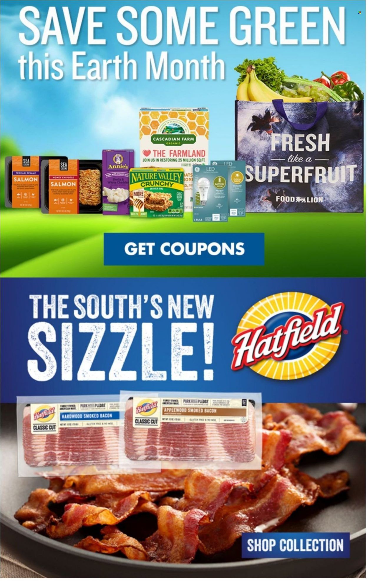 Food Lion (VA) Weekly Ad Flyer April 13 to April 20