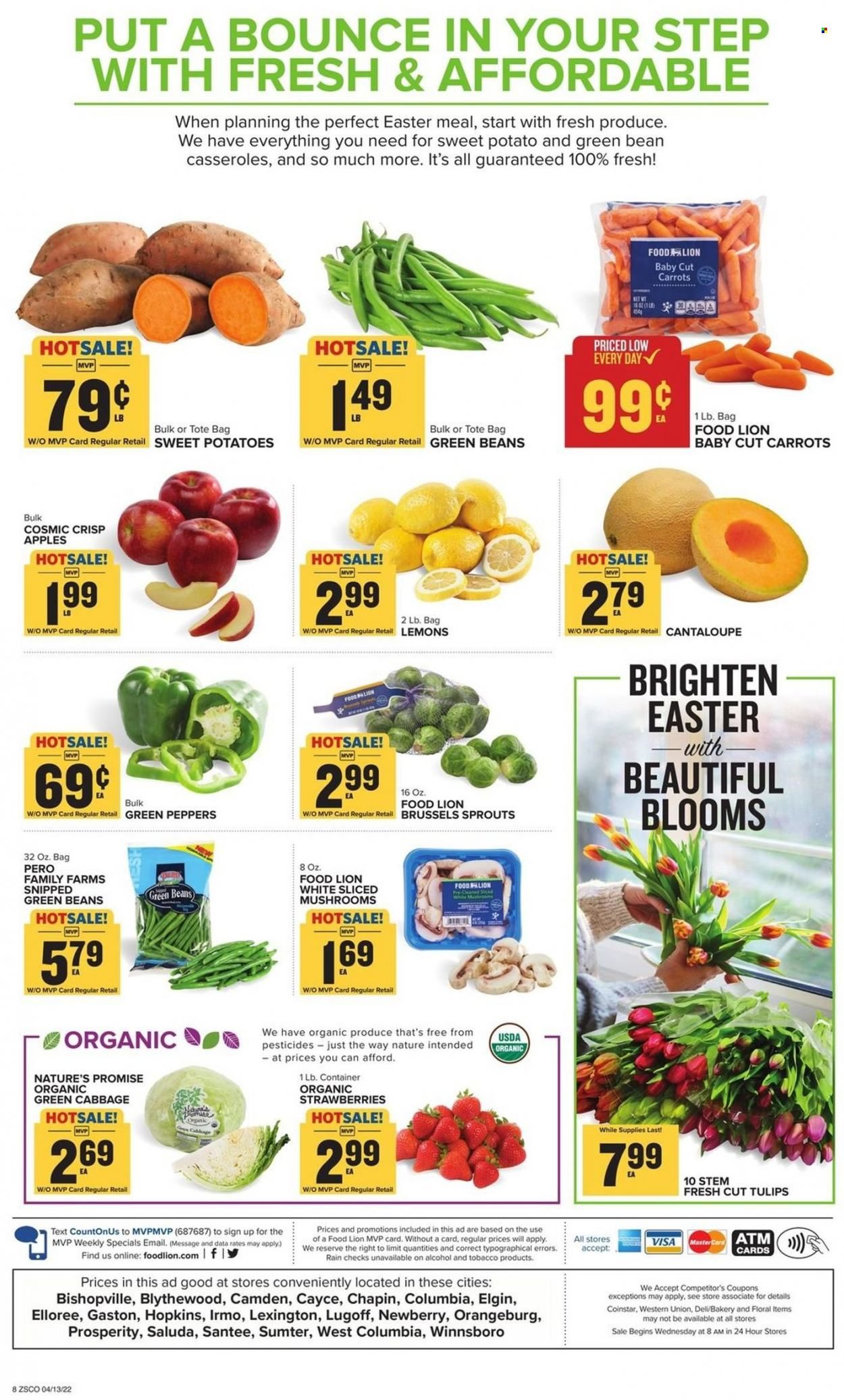 Food Lion (SC) Weekly Ad Flyer April 13 to April 20
