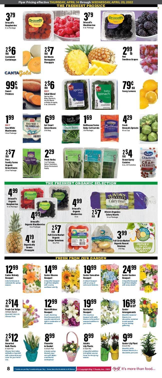 Big Y (CT) Weekly Ad Flyer April 14 to April 21