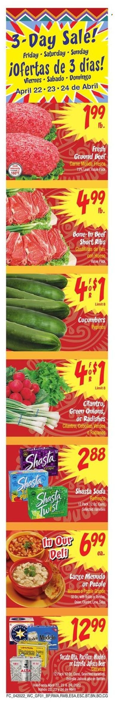 Food City (GA, TN, VA) Weekly Ad Flyer April 19 to April 26