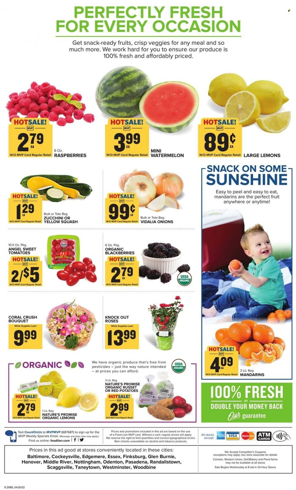 Food Lion (MD) Weekly Ad Flyer April 20 to April 27