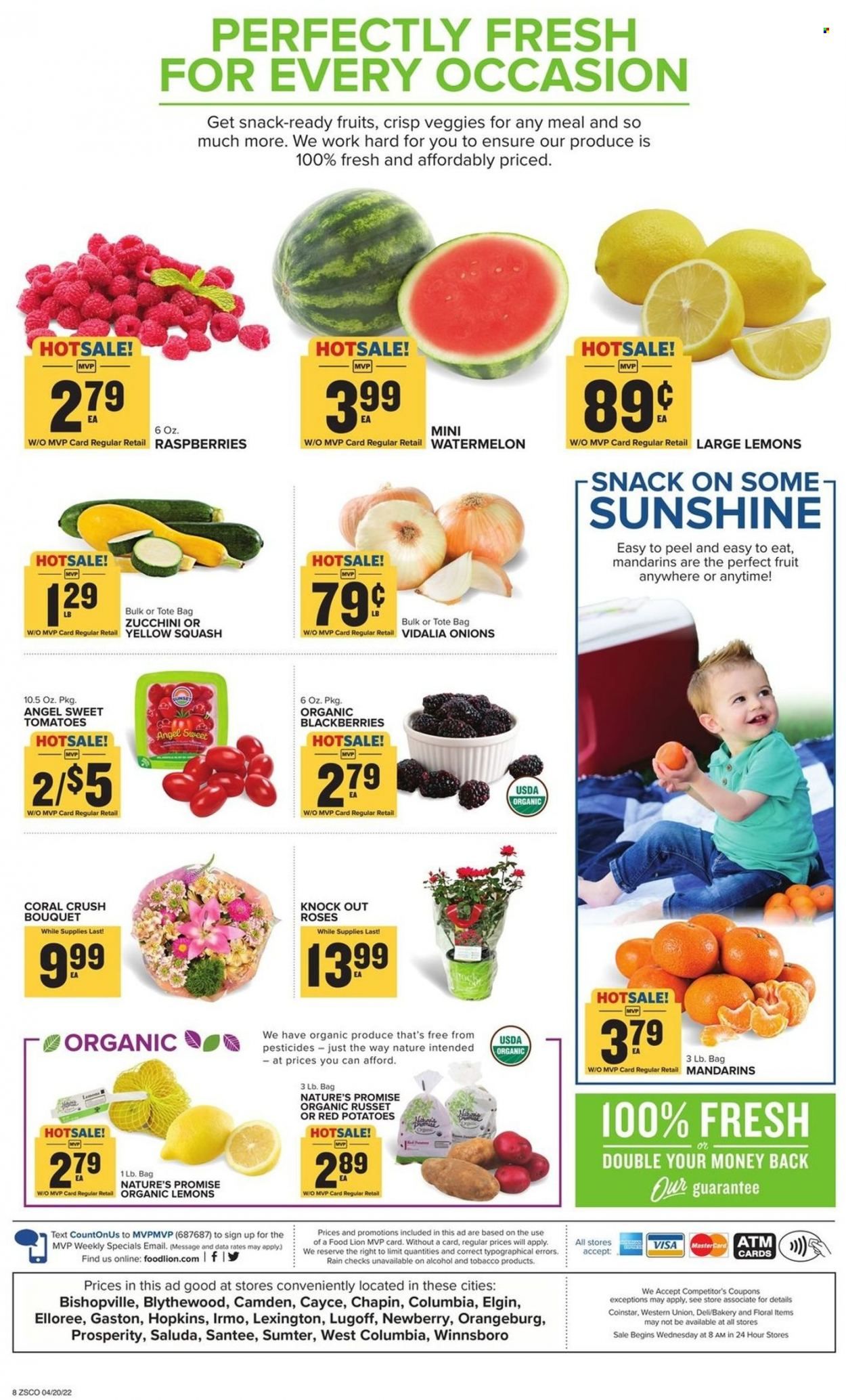 Food Lion (SC) Weekly Ad Flyer April 20 to April 27