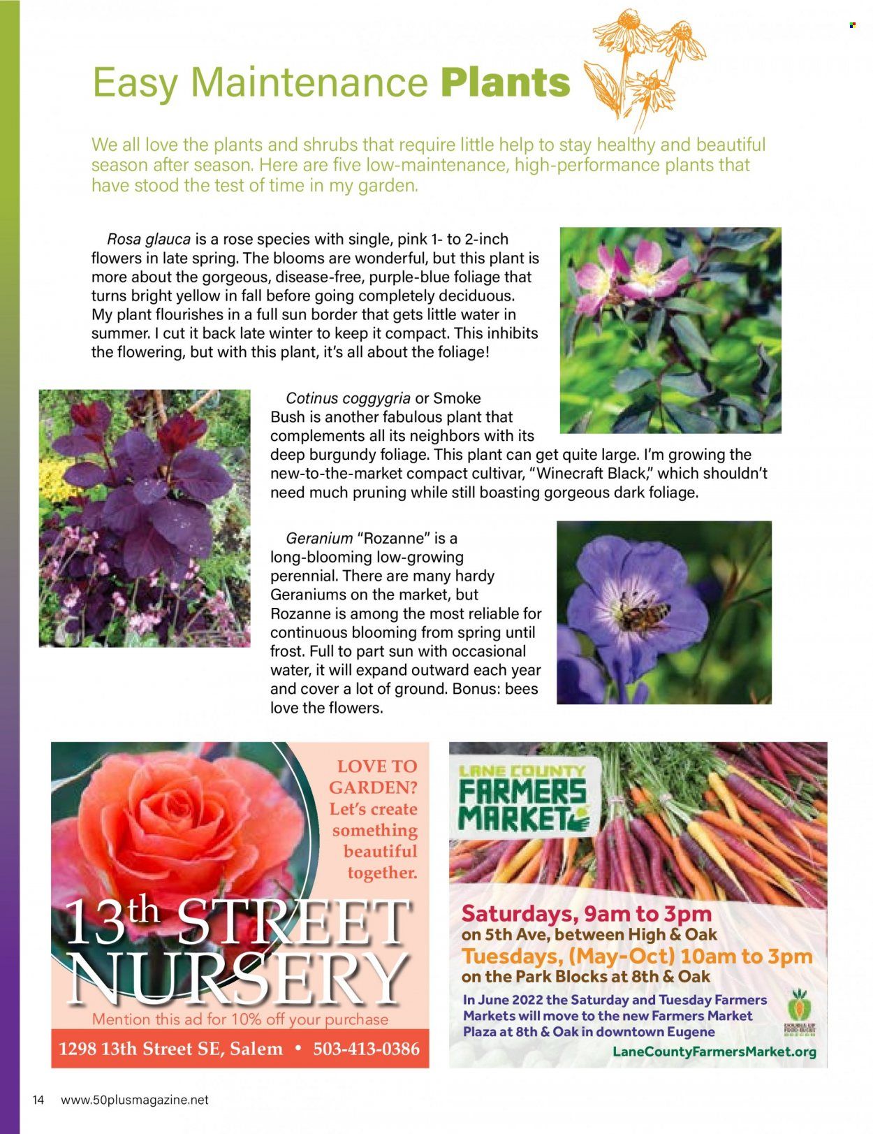 Bi-Mart (ID, OR, WA) Weekly Ad Flyer April 23 to April 30