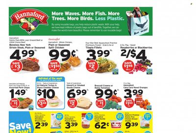Hannaford (MA) Weekly Ad Flyer April 24 to May 1