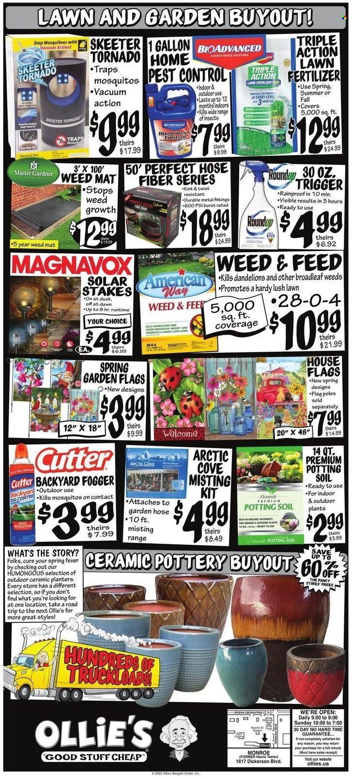 Ollie's Bargain Outlet (NC) Weekly Ad Flyer April 27 to May 4