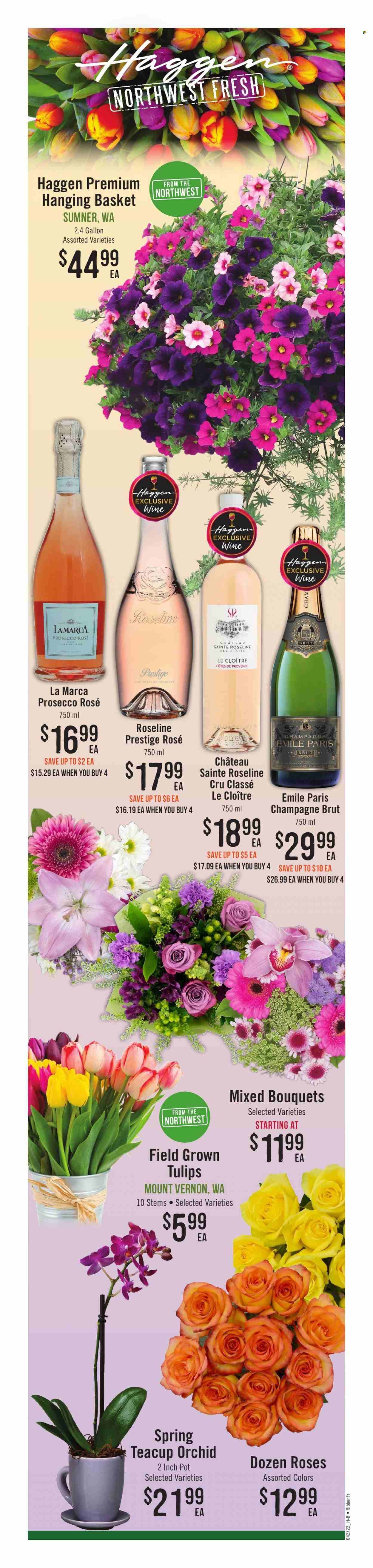 Haggen (WA) Weekly Ad Flyer April 28 to May 5