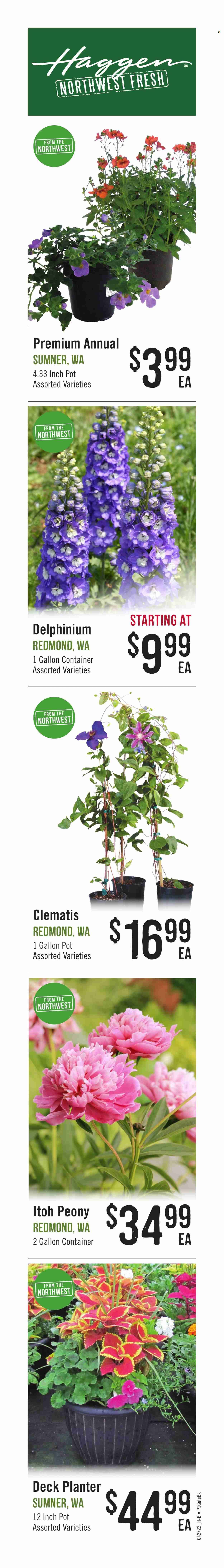Haggen (WA) Weekly Ad Flyer April 28 to May 5