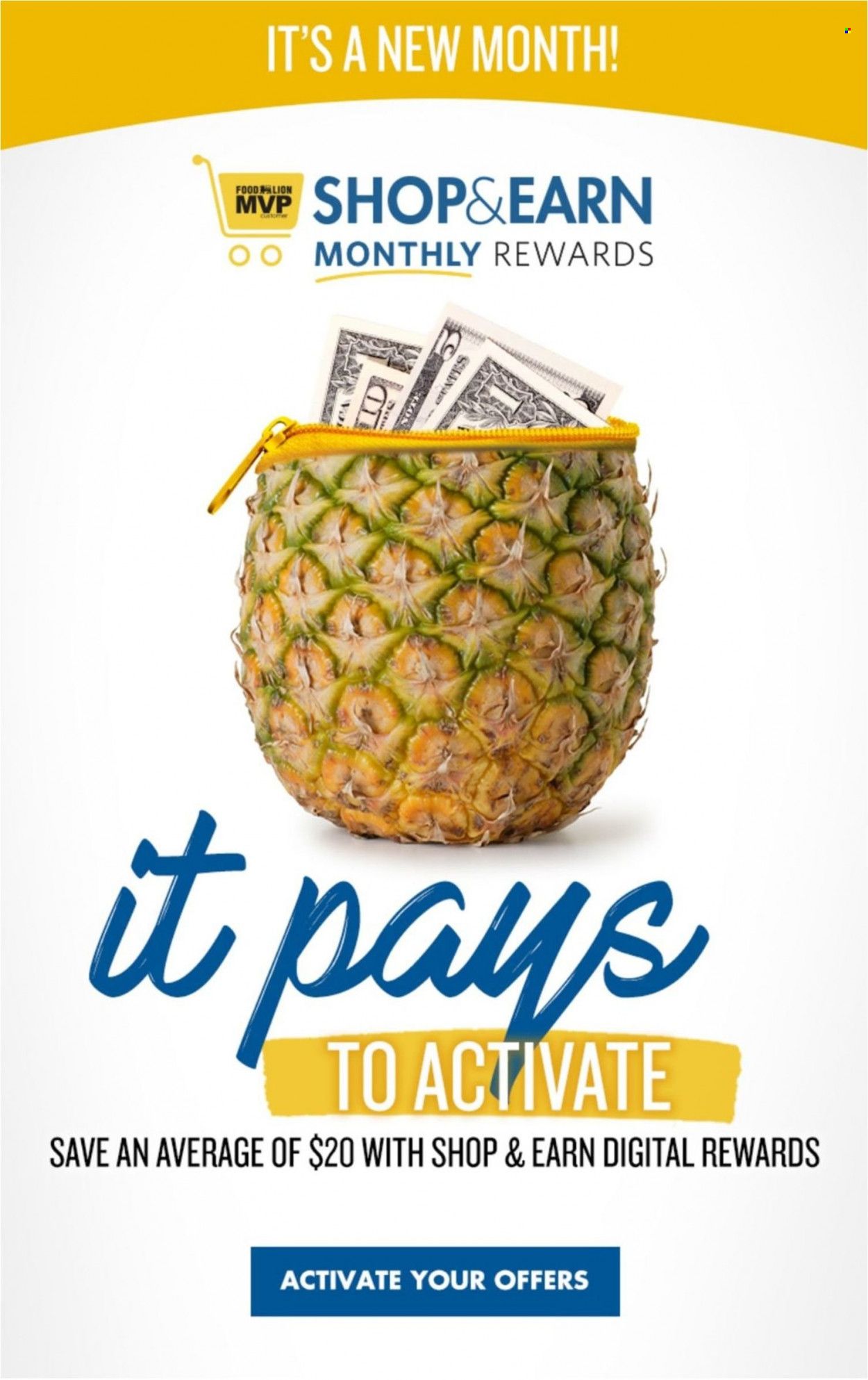 Food Lion (SC) Weekly Ad Flyer May 4 to May 11
