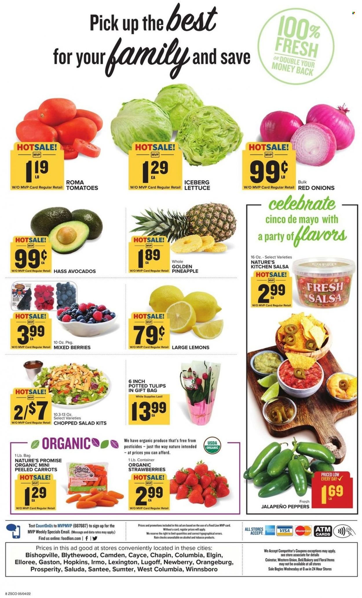Food Lion (SC) Weekly Ad Flyer May 4 to May 11