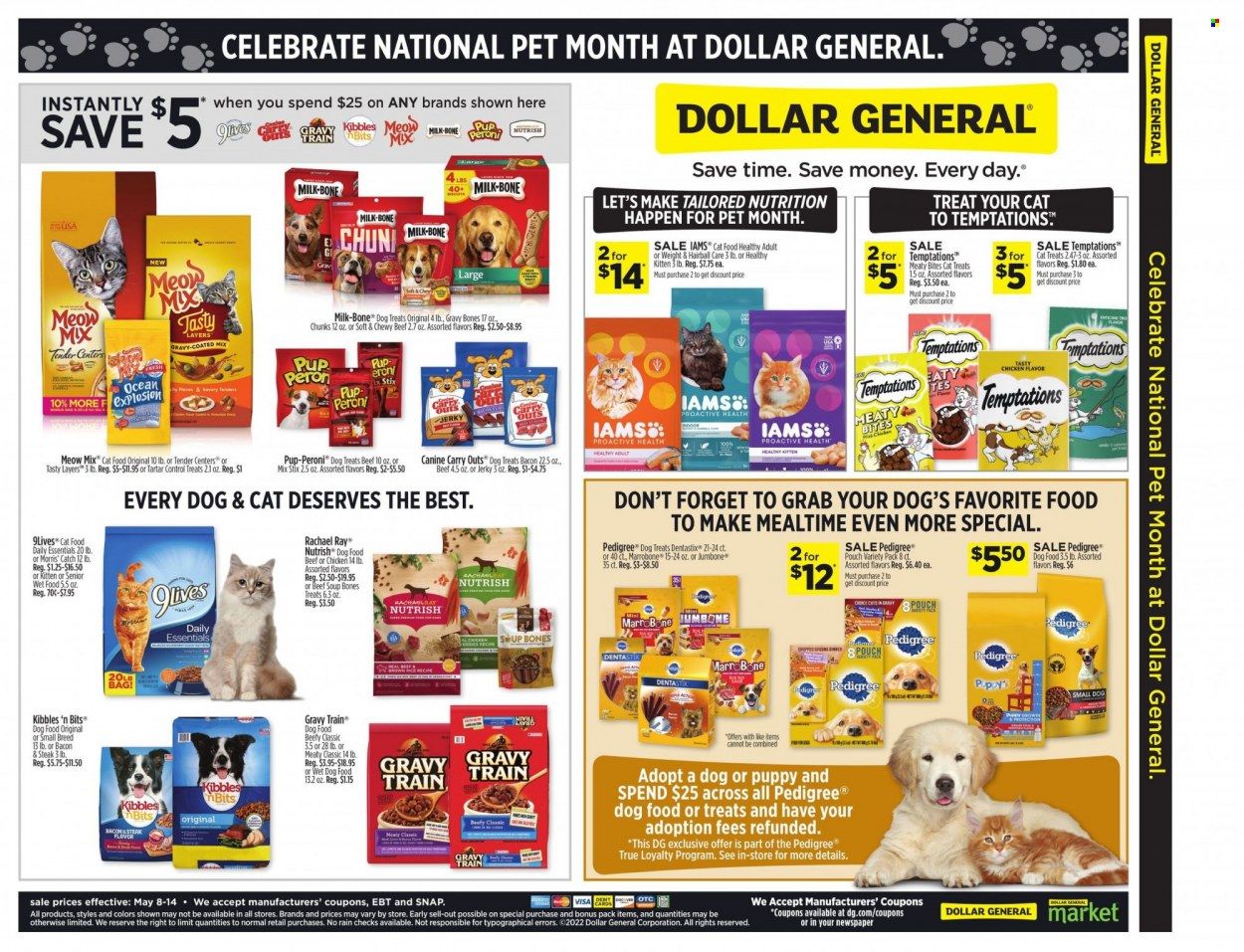 Dollar General (FL) Weekly Ad Flyer May 10 to May 17