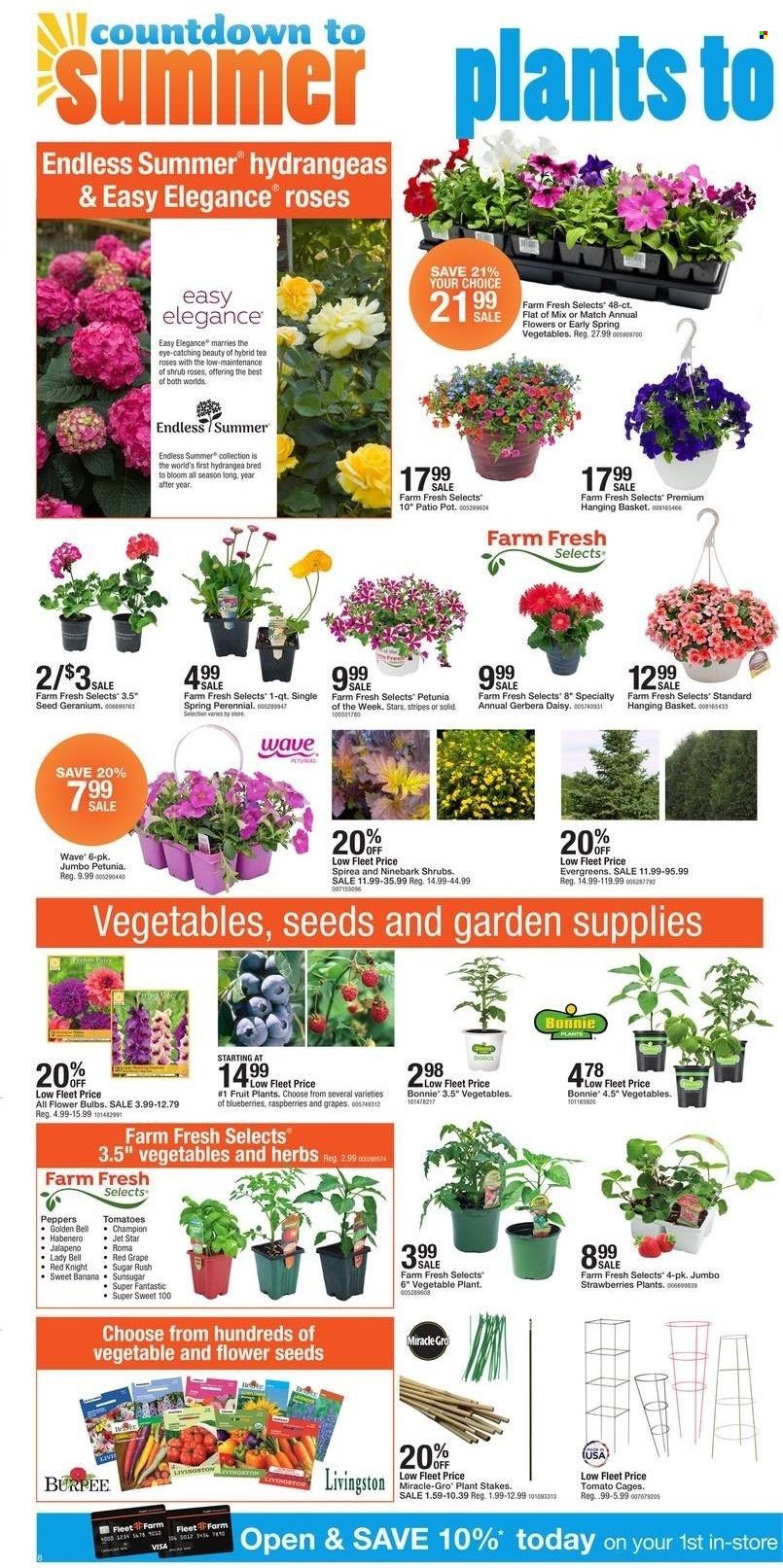 Fleet Farm (IA, MN, ND, WI) Weekly Ad Flyer May 11 to May 18