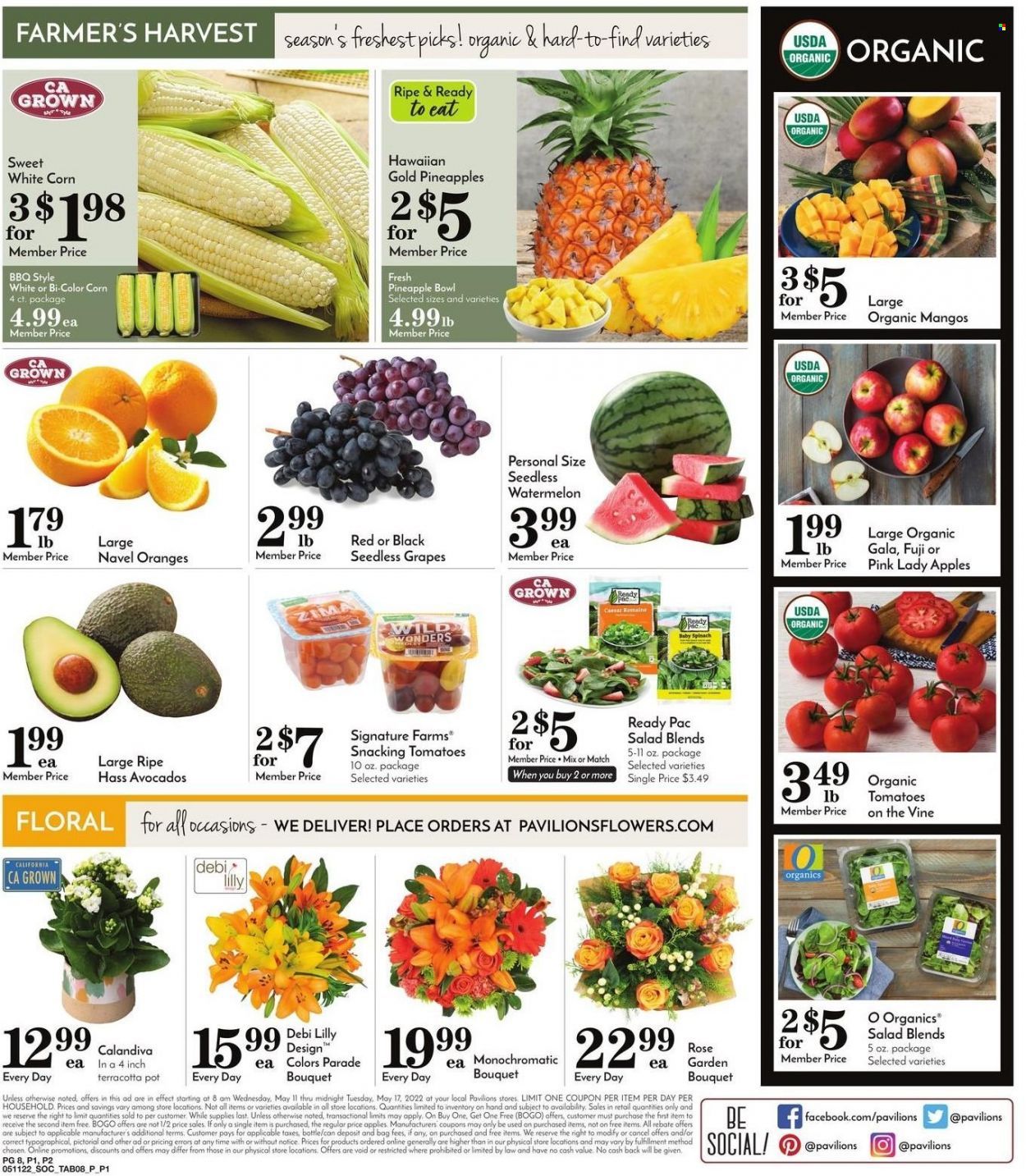 Pavilions (CA) Weekly Ad Flyer May 11 to May 18