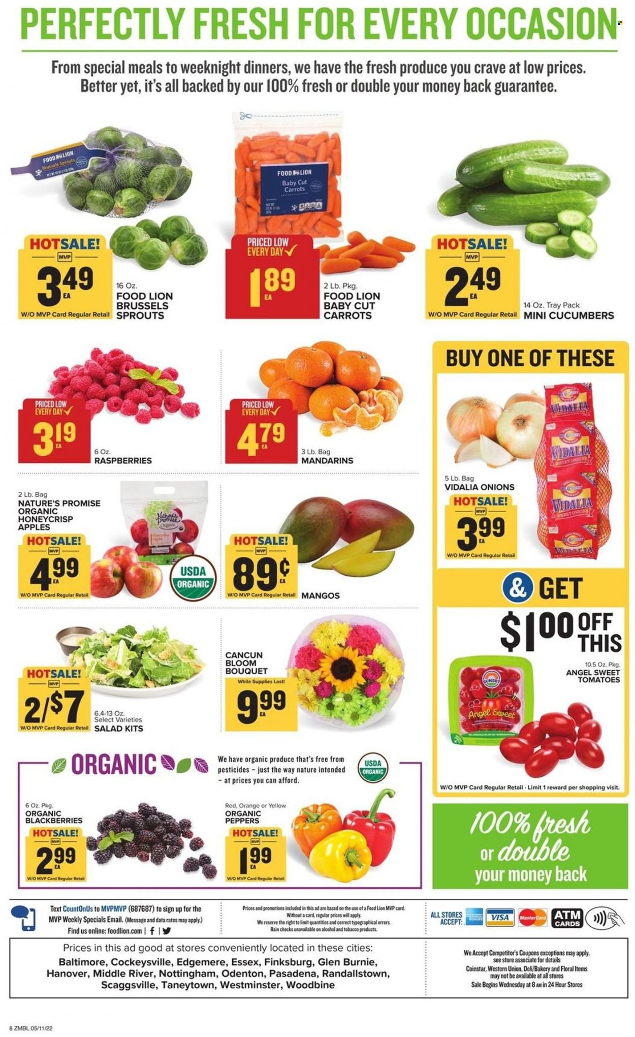Food Lion (MD) Weekly Ad Flyer May 11 to May 18