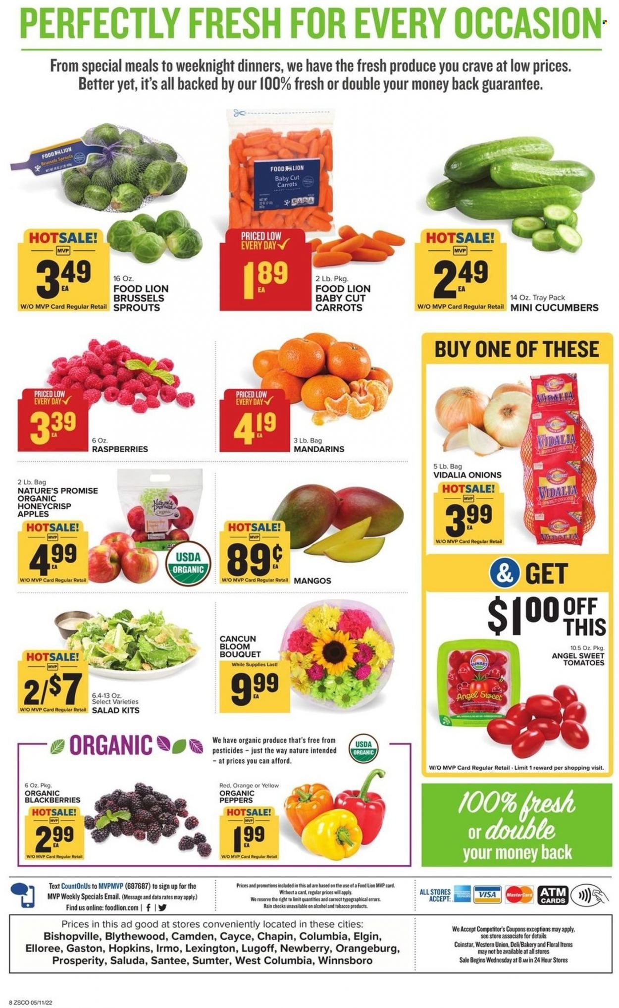 Food Lion (SC) Weekly Ad Flyer May 11 to May 18