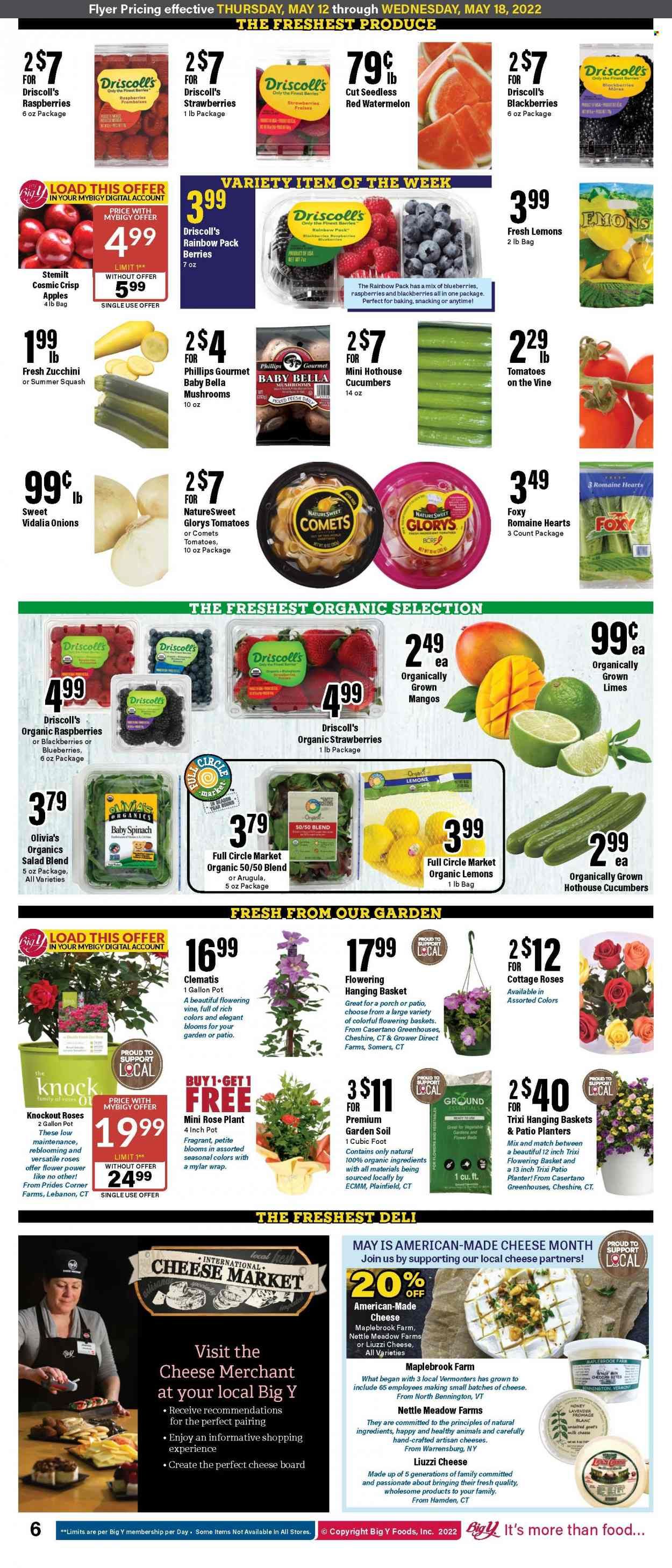 Big Y (CT) Weekly Ad Flyer May 11 to May 18