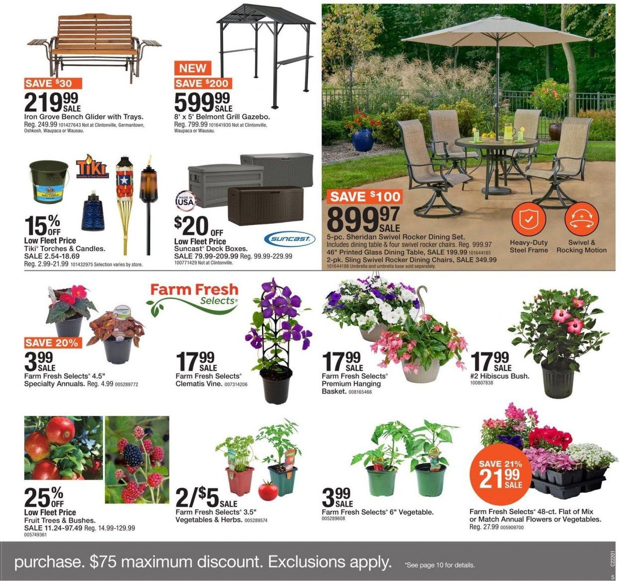 Fleet Farm (IA, MN, ND, WI) Weekly Ad Flyer May 14 to May 21
