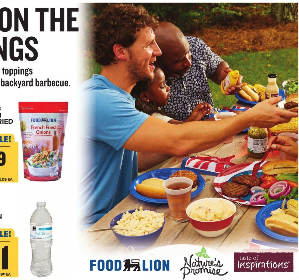 Food Lion (SC) Weekly Ad Flyer May 19 to May 26