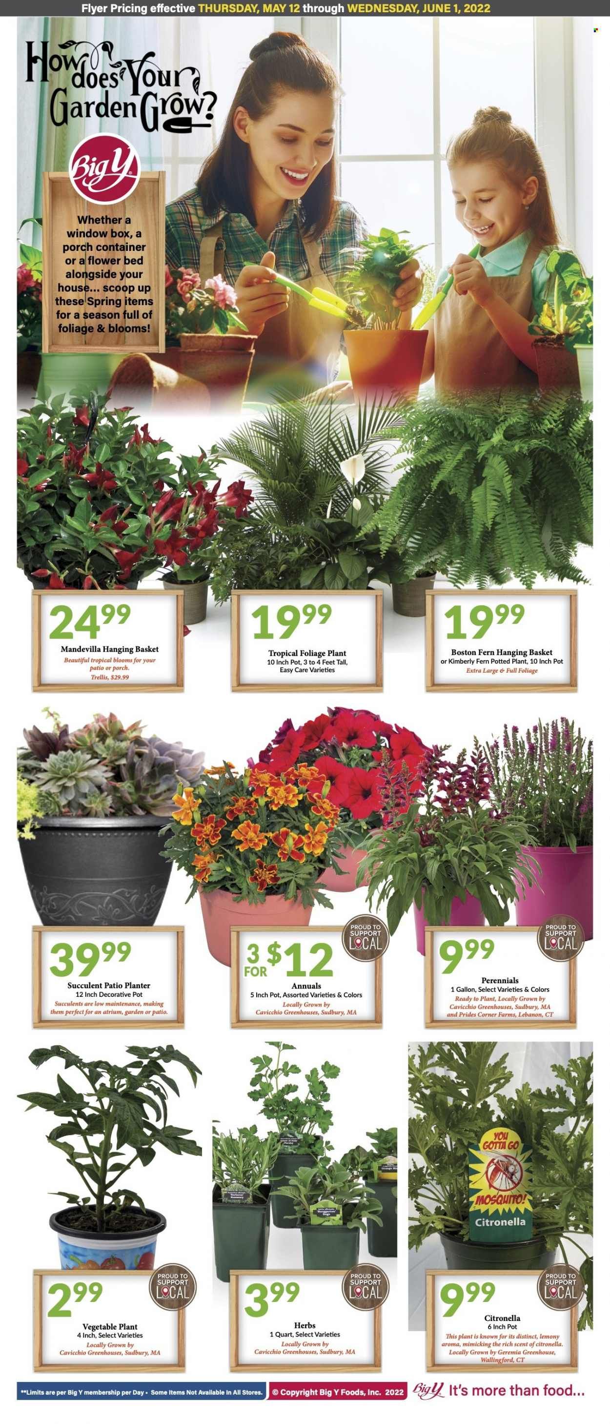 Big Y (CT) Weekly Ad Flyer May 19 to May 26