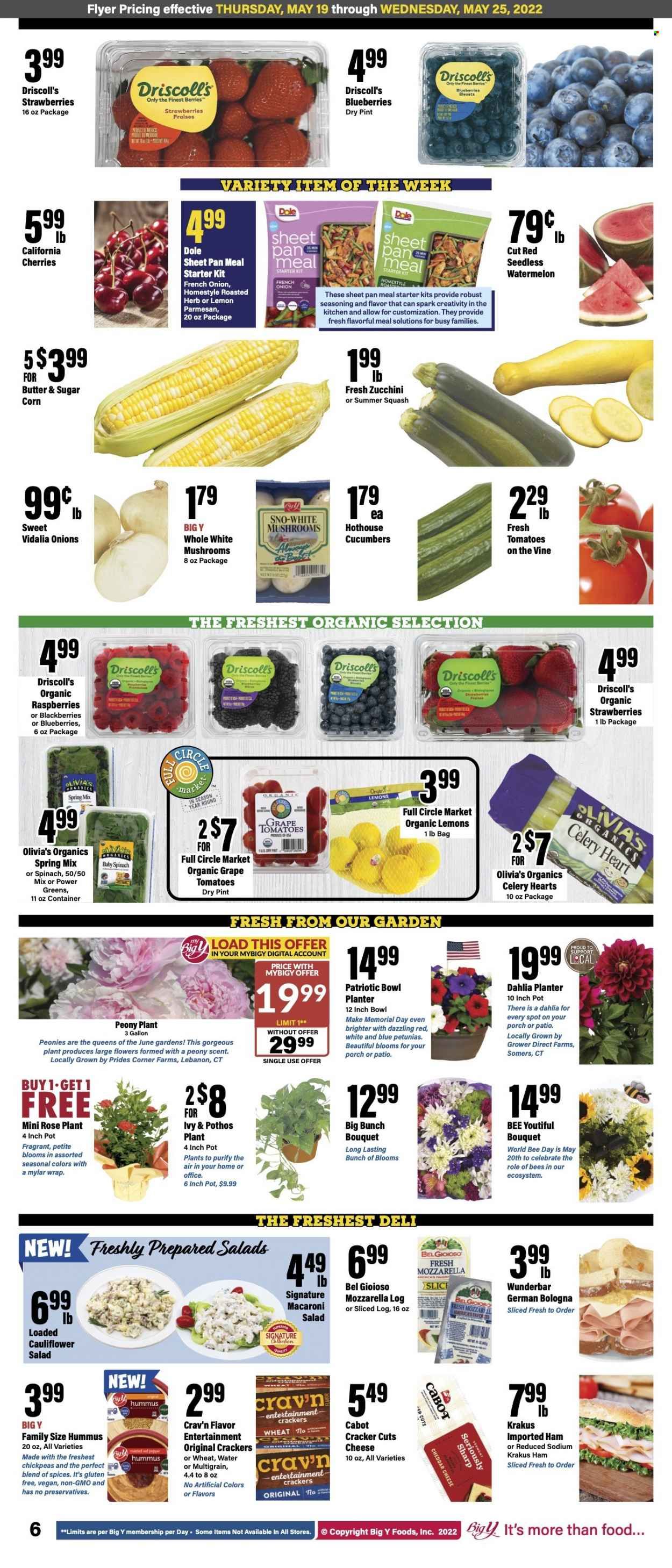 Big Y (CT) Weekly Ad Flyer May 19 to May 26