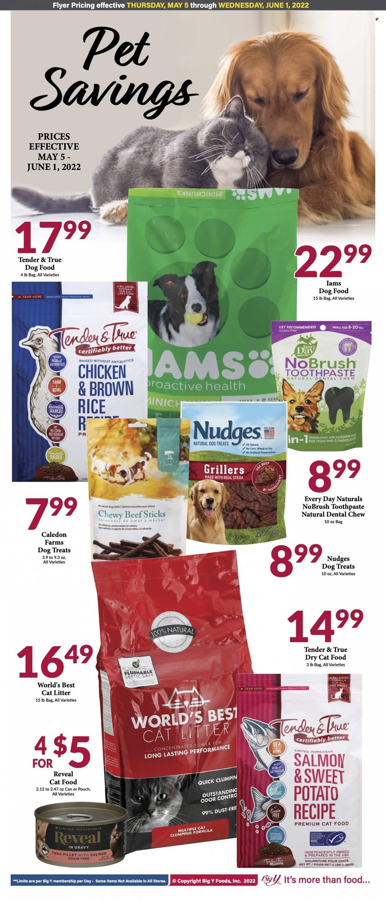 Big Y (CT) Weekly Ad Flyer May 19 to May 26