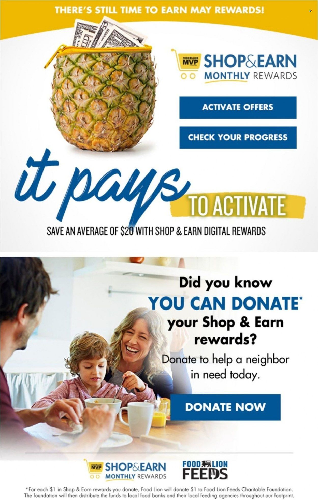 Food Lion (SC) Weekly Ad Flyer May 24 to May 31