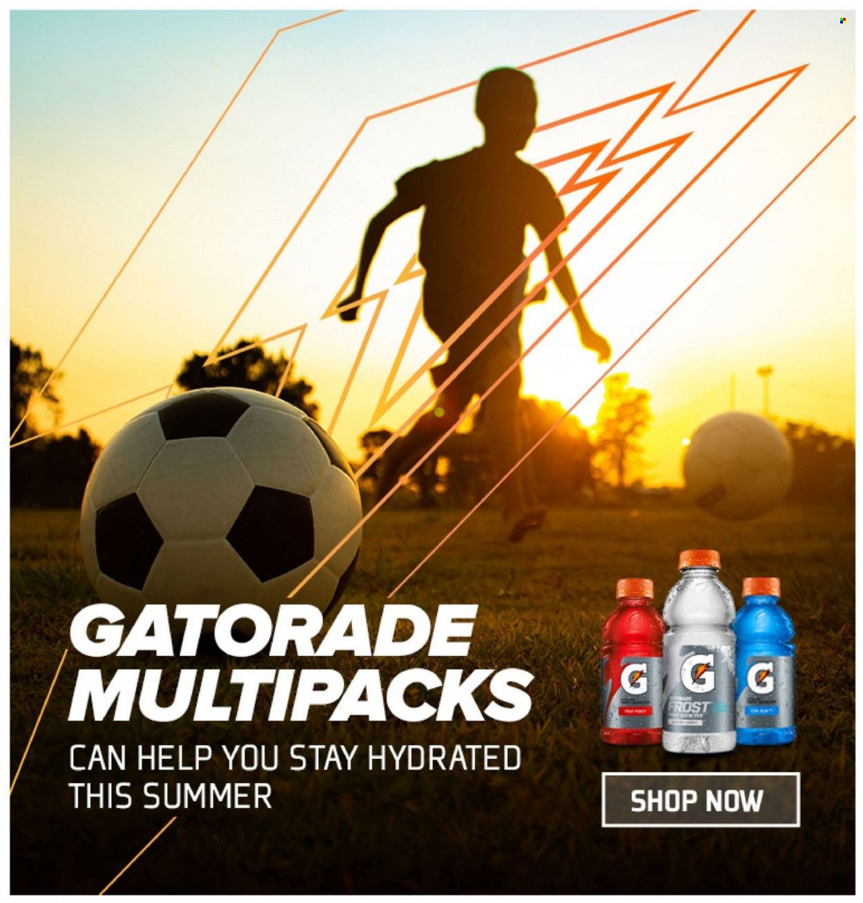 Lowes Foods (NC, SC) Weekly Ad Flyer May 25 to June 1