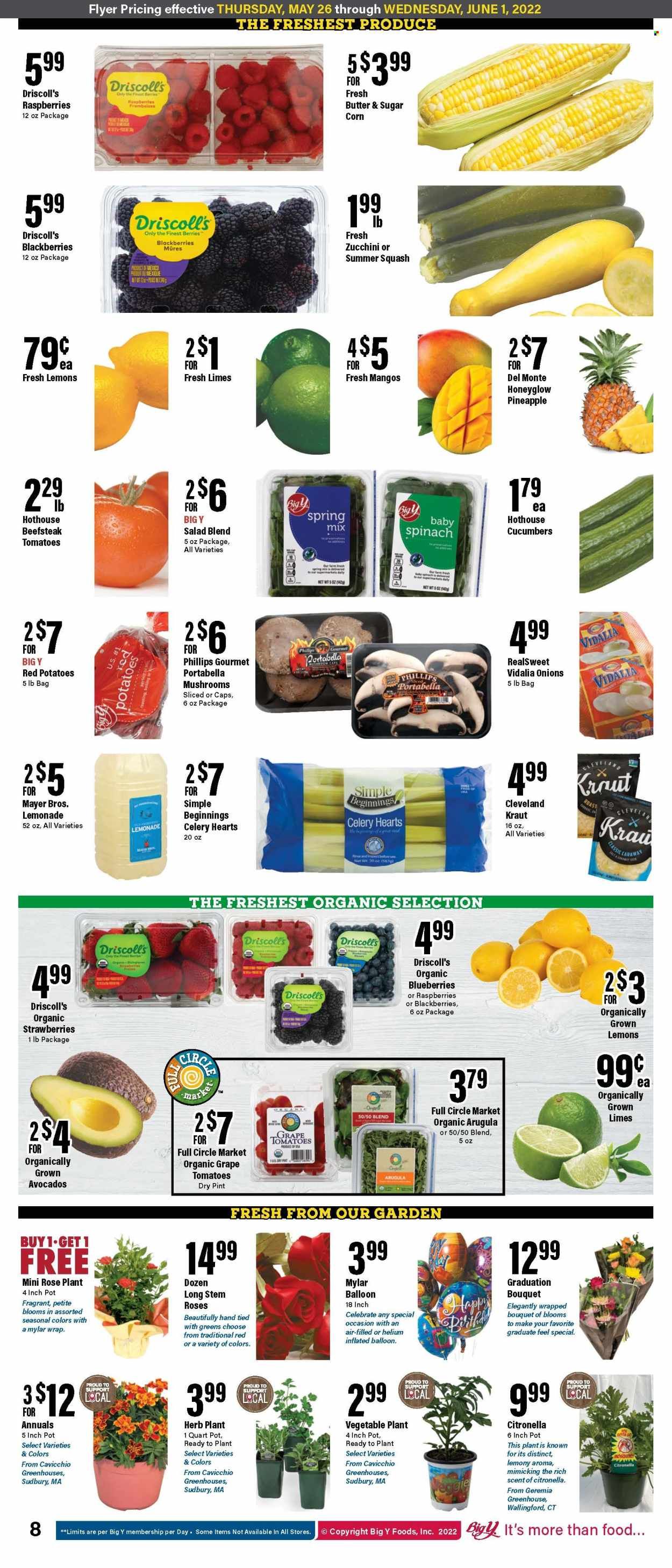 Big Y (CT) Weekly Ad Flyer May 26 to June 2