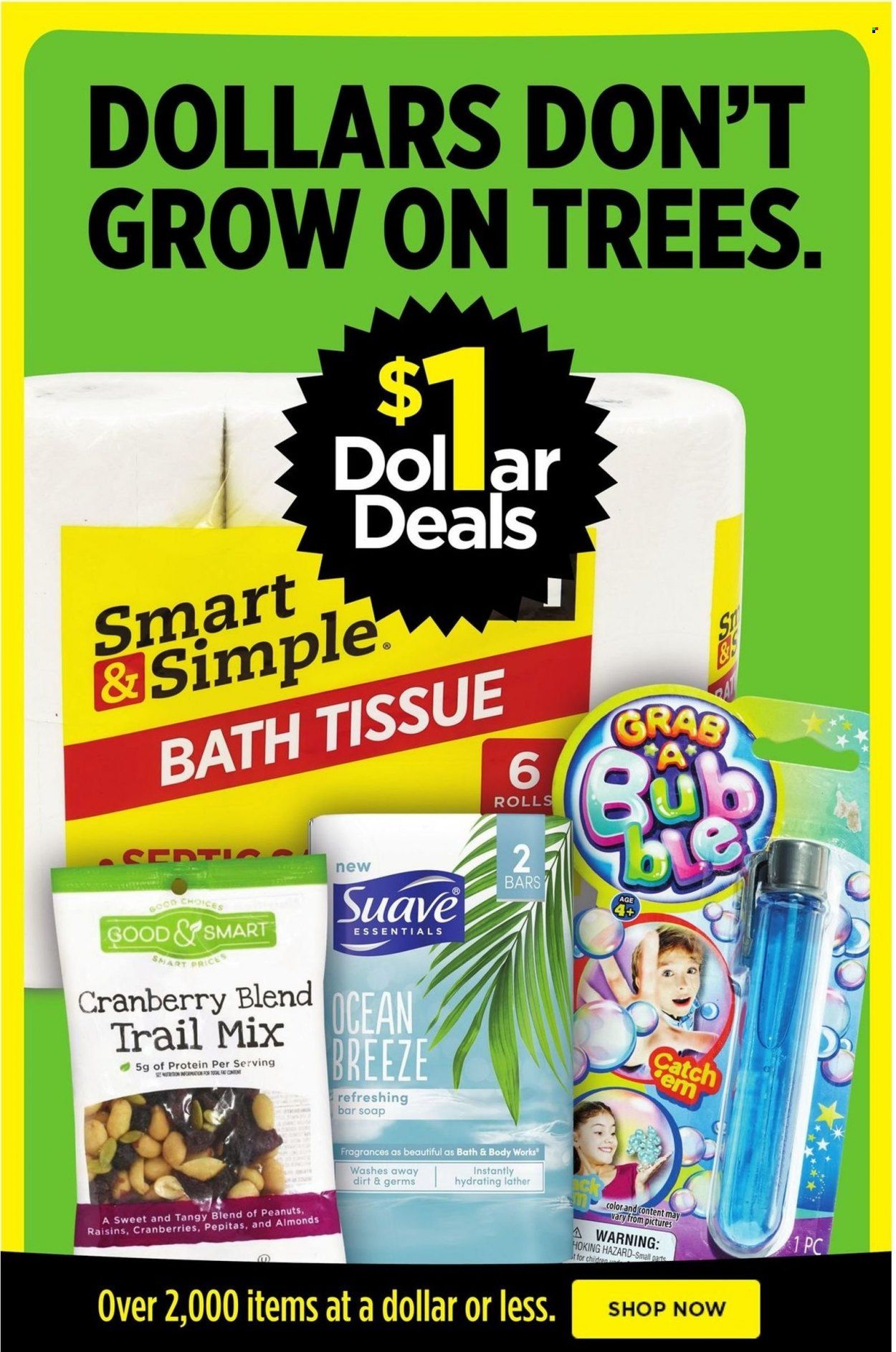 Dollar General Weekly Ad Flyer May 29 to June 5
