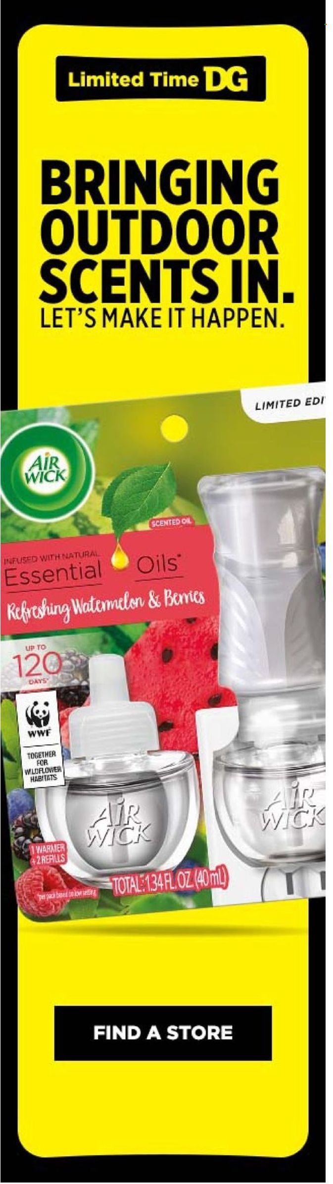 Dollar General Weekly Ad Flyer May 29 to June 5