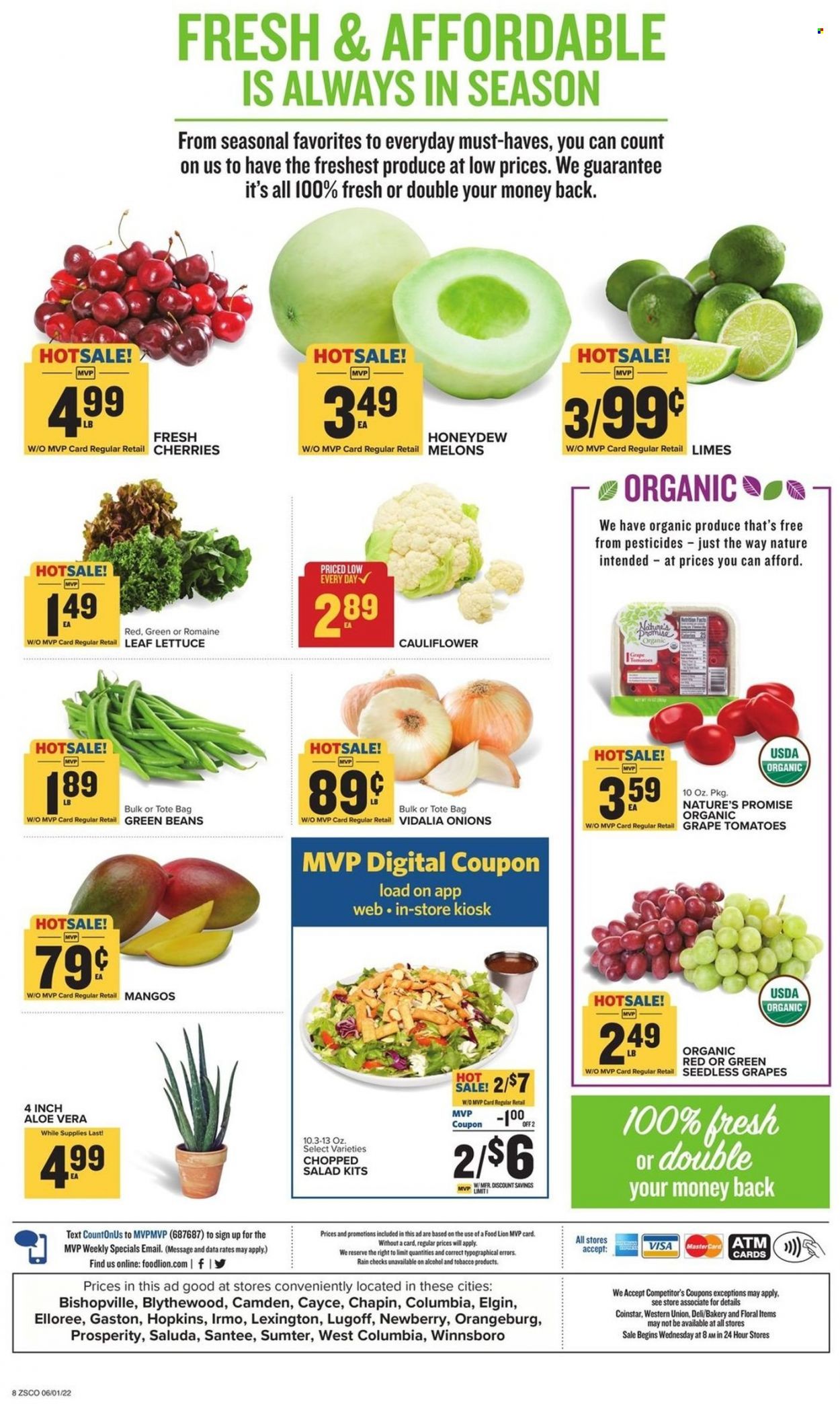 Food Lion (SC) Weekly Ad Flyer June 1 to June 8