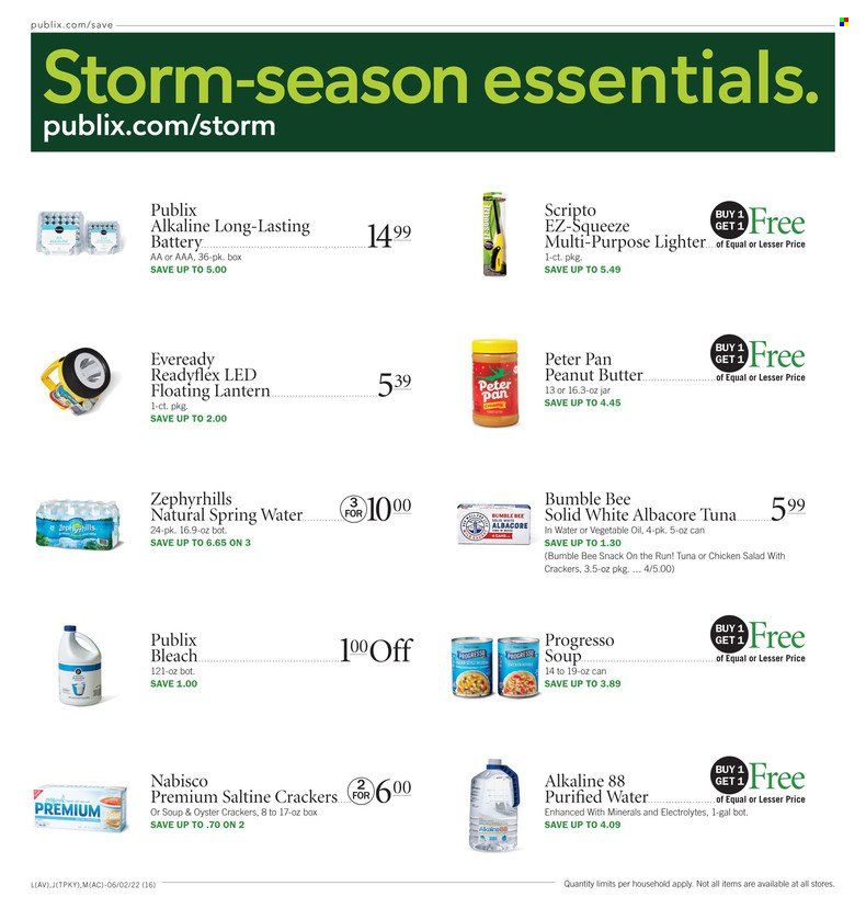 Publix (AL, FL, GA, NC, SC, TN) Weekly Ad Flyer June 2 to June 9