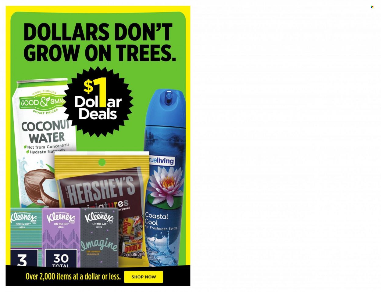 Dollar General (TX) Weekly Ad Flyer June 7 to June 14