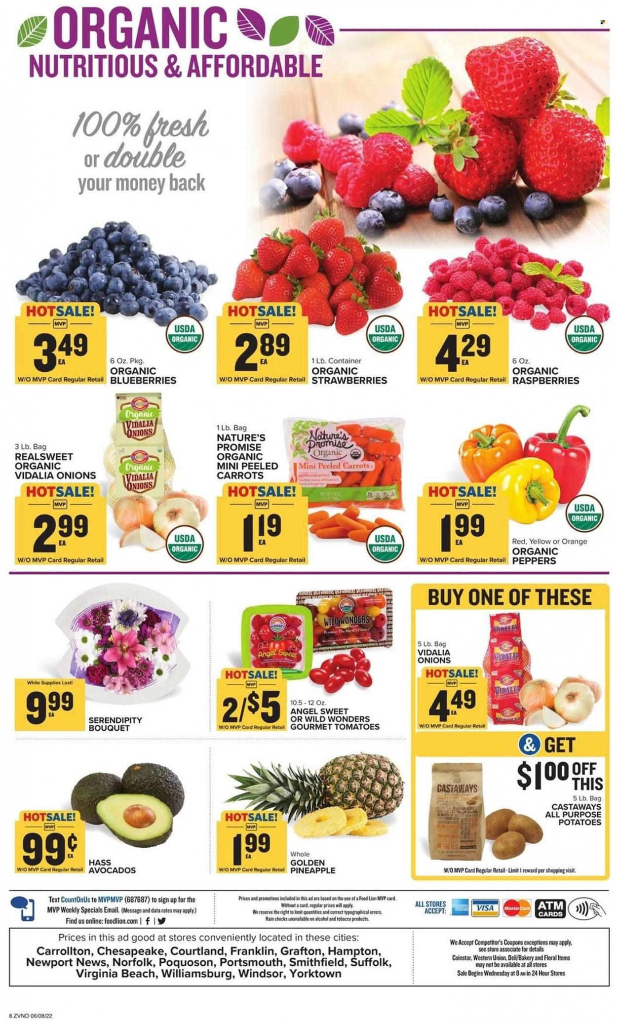 Food Lion (VA) Weekly Ad Flyer June 9 to June 16