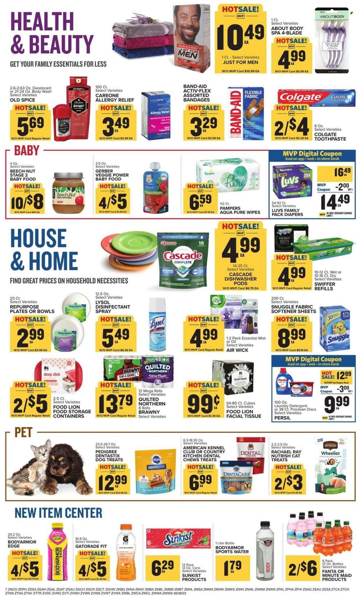 Food Lion (NC) Weekly Ad Flyer June 9 to June 16